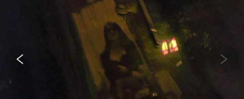 成都 成华区 怡福路导航直接去